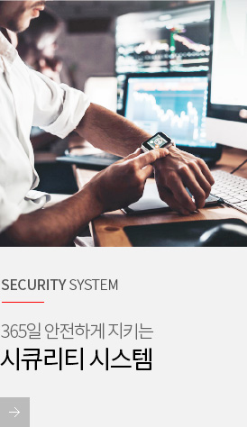 SECURITY SYSTEM 시큐리티 시스템